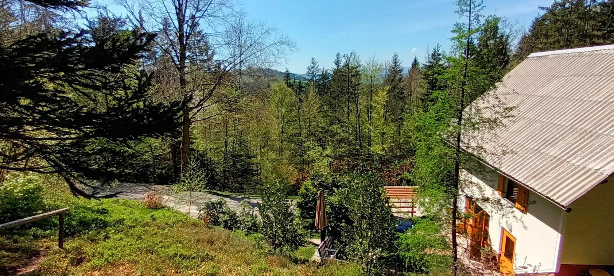 Holiday Home Forest Peace, Lavrovec Hlevni Vrh ภายนอก รูปภาพ