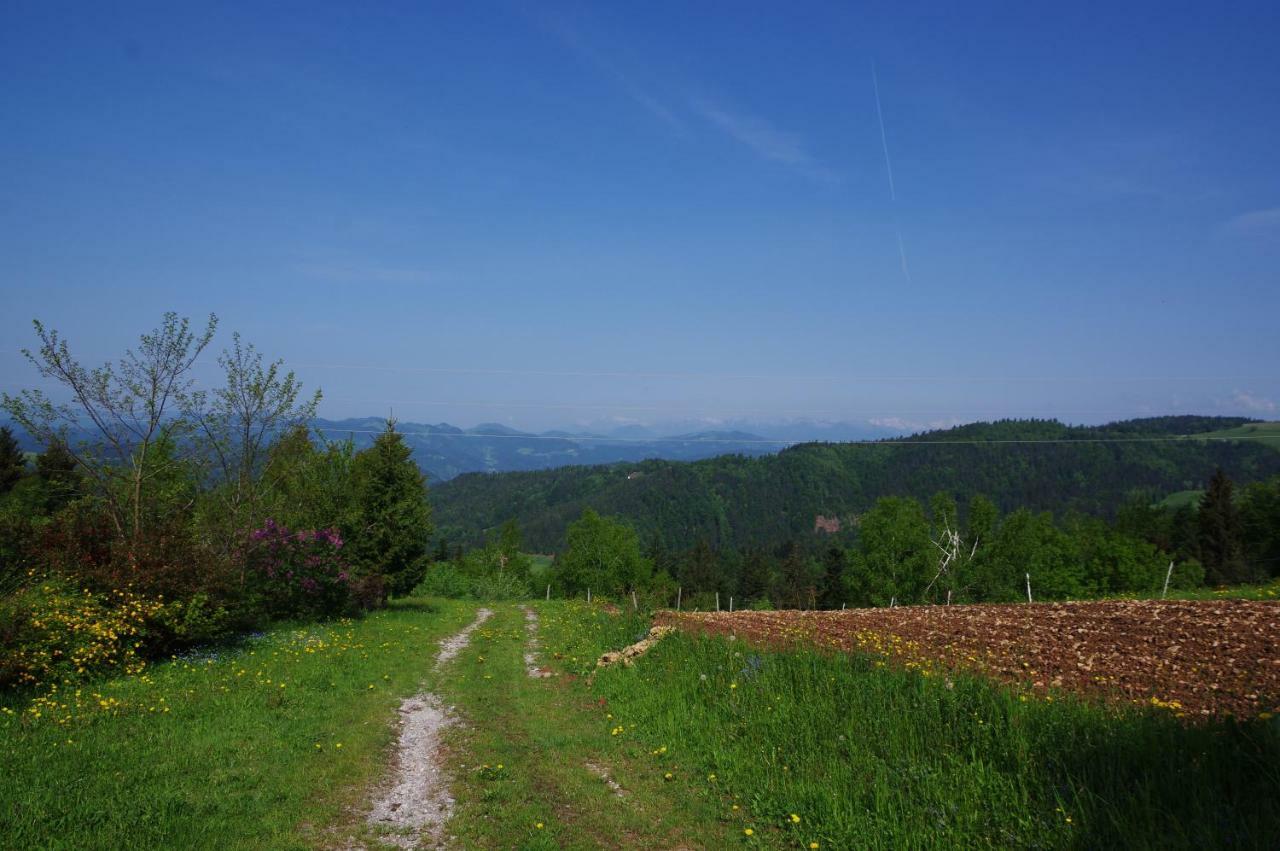 Holiday Home Forest Peace, Lavrovec Hlevni Vrh ภายนอก รูปภาพ