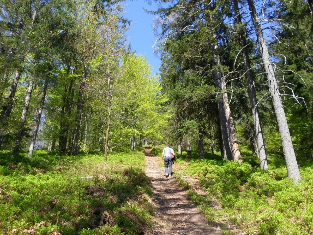 Holiday Home Forest Peace, Lavrovec Hlevni Vrh ภายนอก รูปภาพ